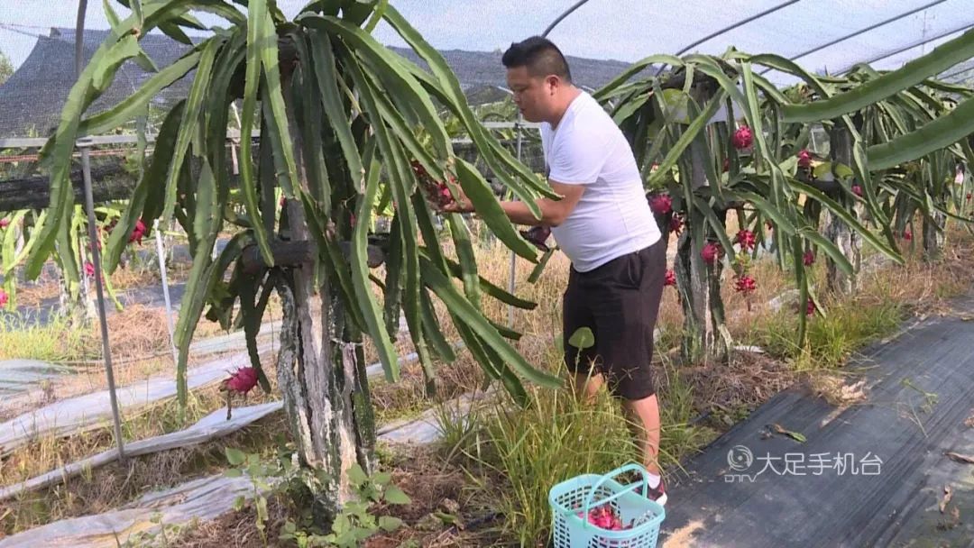 魅力中国城崇左vs大足视频,魅力中国城让你知道