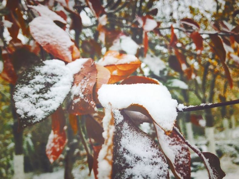 游·达坂城｜下雪了，一起来达坂城看美景~