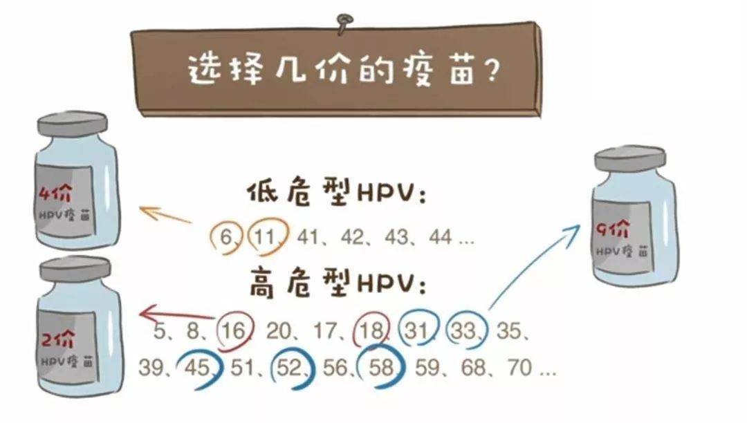 hpv疫苗科普二价和四价,hpv疫苗科普解答动画