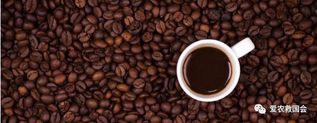 金芷神痛风茶,痛风能喝的茶