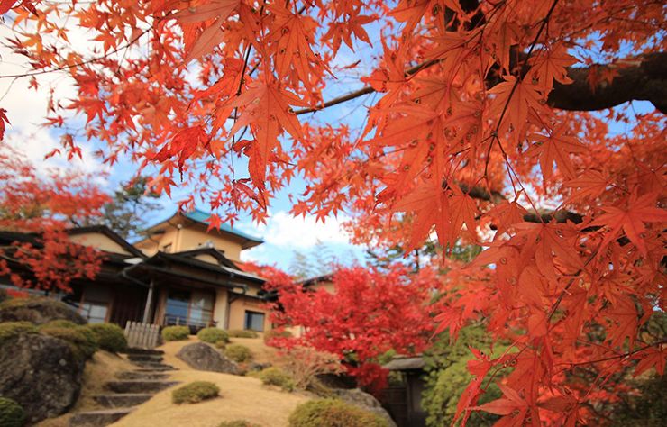 日本国立新美术馆,日本最美五大艺术馆