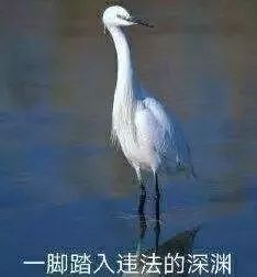 排污管惊现大量废纸币,一神秘男子跳楼……电视剧都不敢这么拍!