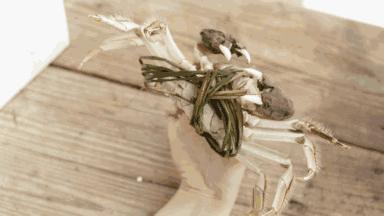 大闸蟹各部位千万别吃图解,大闸蟹这四个部位不建议吃