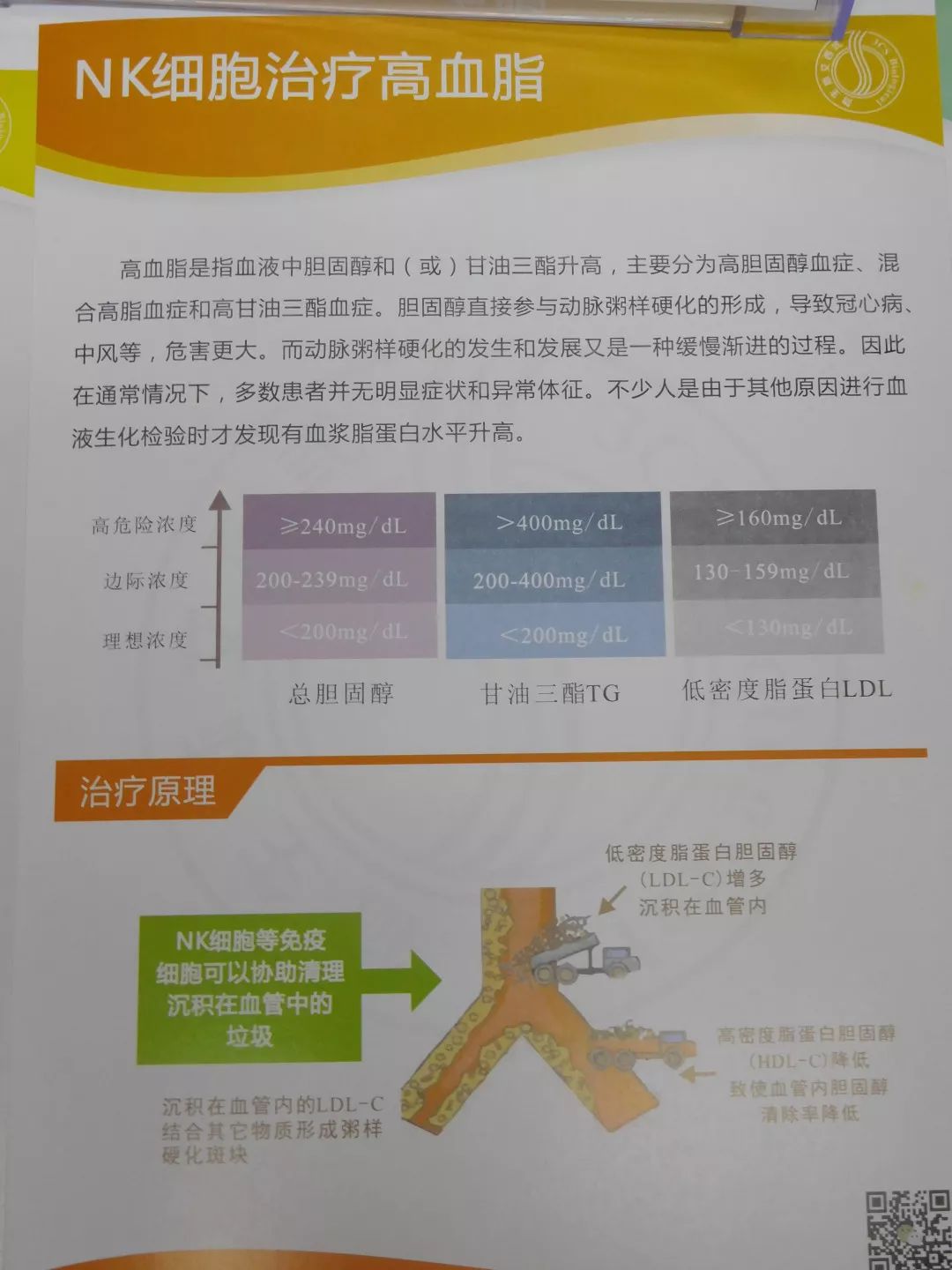 nk免疫疗法癌症,nk免疫疗法和正常细胞的区别