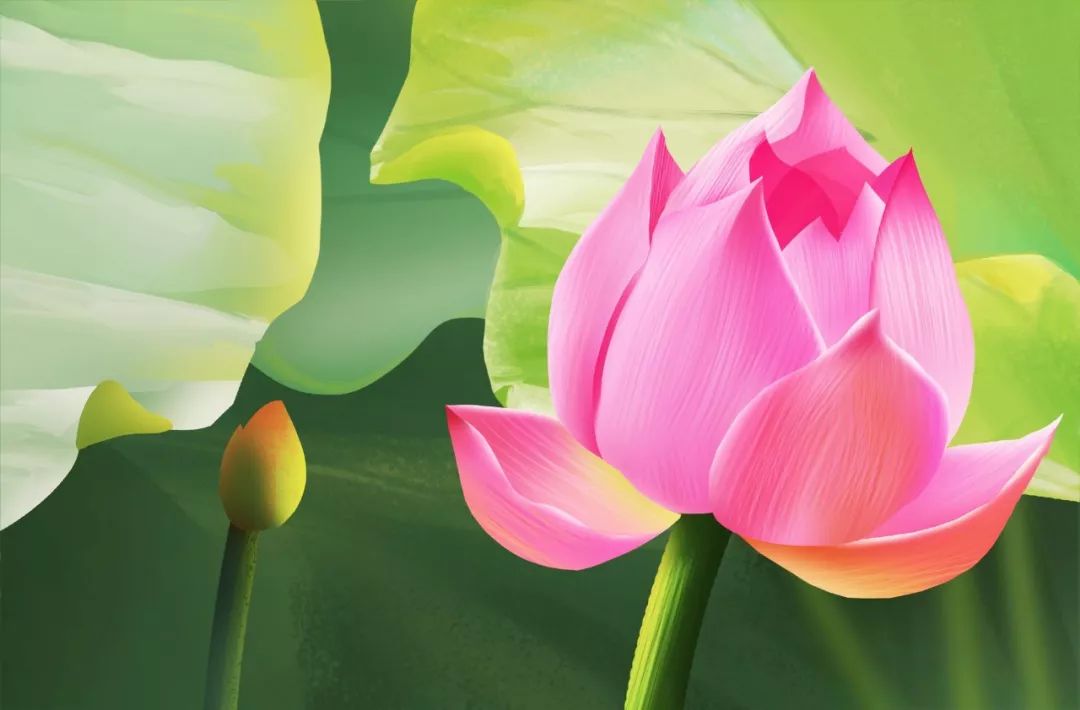 观莲节的时间,上巳节和花朝节有什么不同