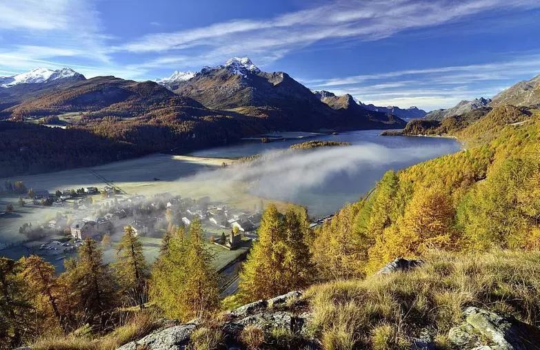 阿尔卑斯凭什么这么火,阿尔卑斯为啥代表爱情