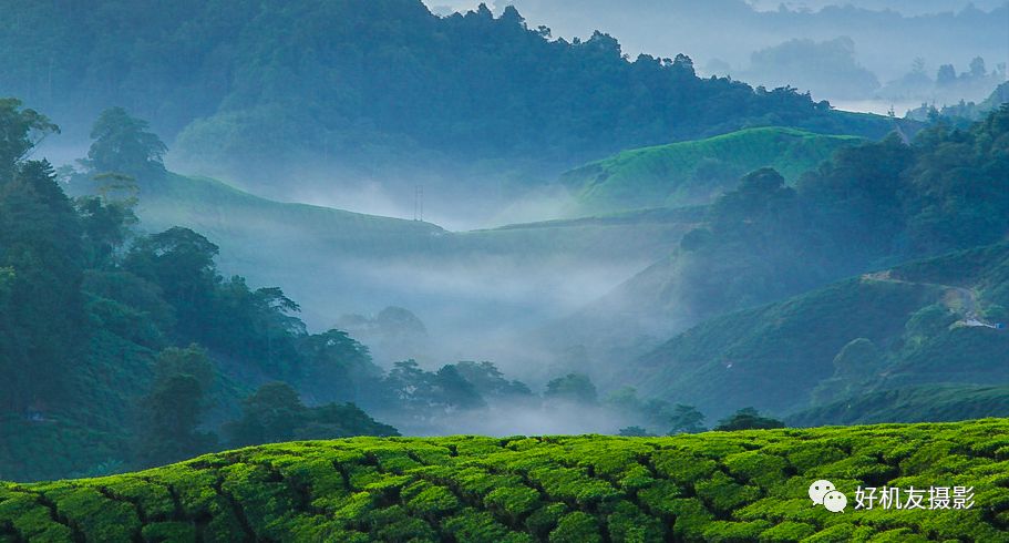 清晰度和锐化对比图,清晰度和锐化两个都需要调整么