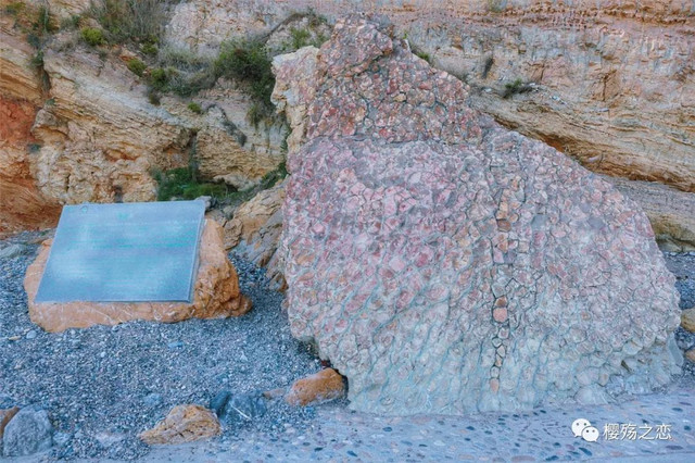 大连金石滩游记,玩转大连金石滩