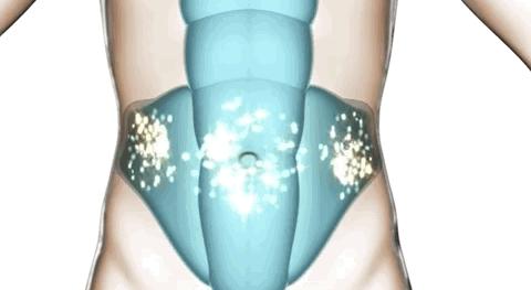 腹肌女王2.0版本升级，全网黑转粉逆袭人生新高度