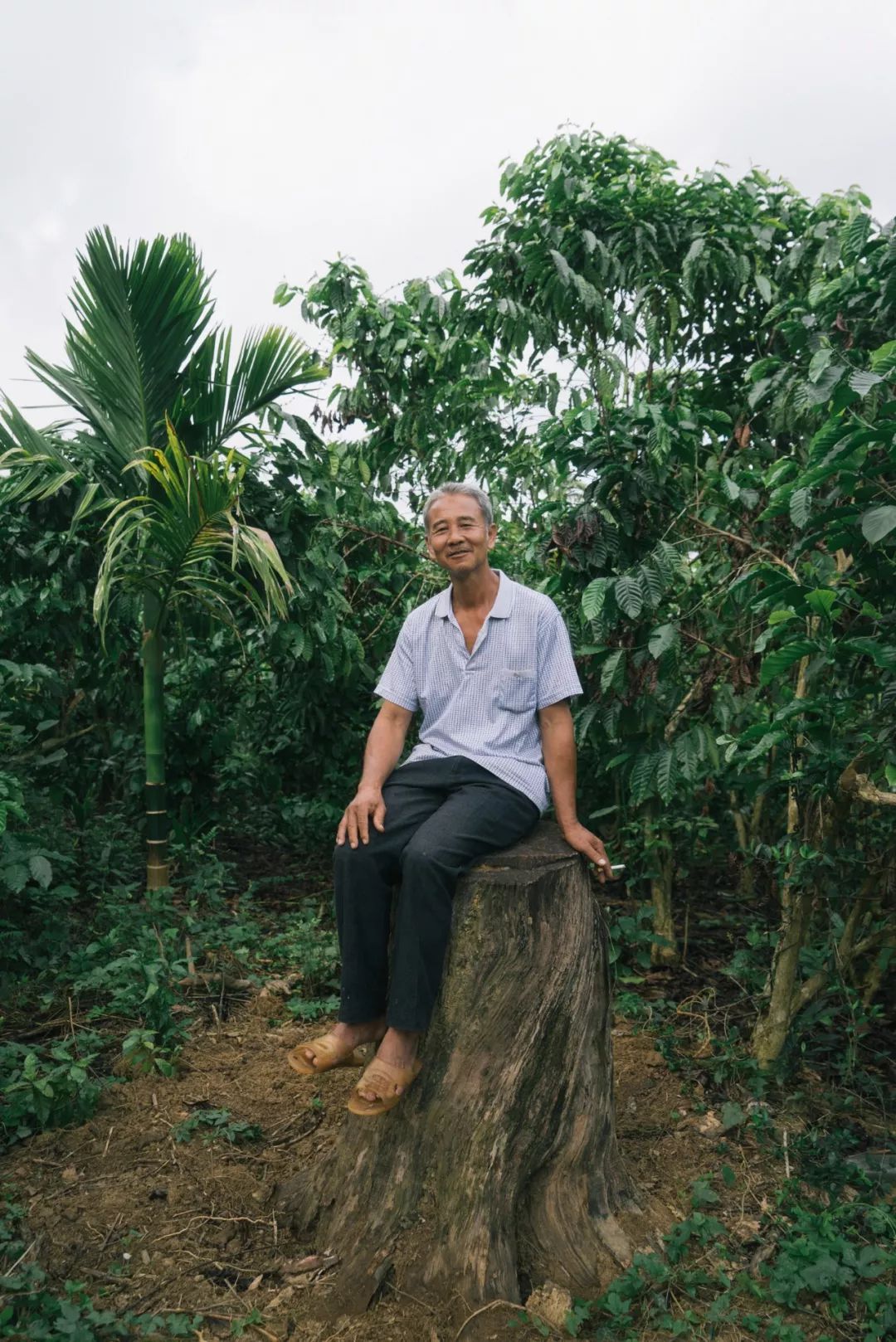 海南好喝的咖啡推荐,海南最正宗的咖啡
