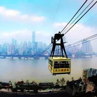 细胞治疗平台,细胞标准化平台