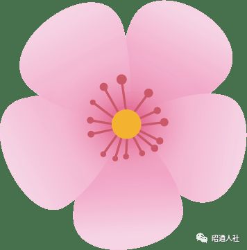 昭通2018事业单位d类招聘公告,昭通市2022年事业单位招聘最高分