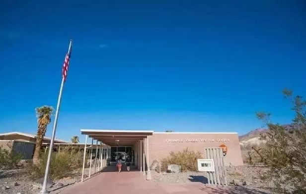 死亡谷里面的牛,死亡谷里的牛