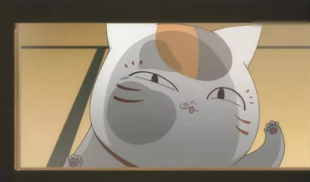 日本人和猫的关系,为什么日本人这么喜欢女生