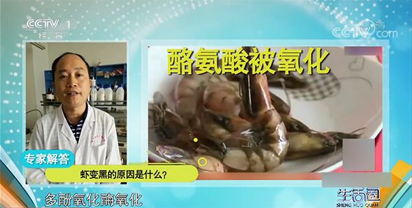 冻虾呈蓝色绿色能吃吗,冻虾变蓝绿色还能吃吗