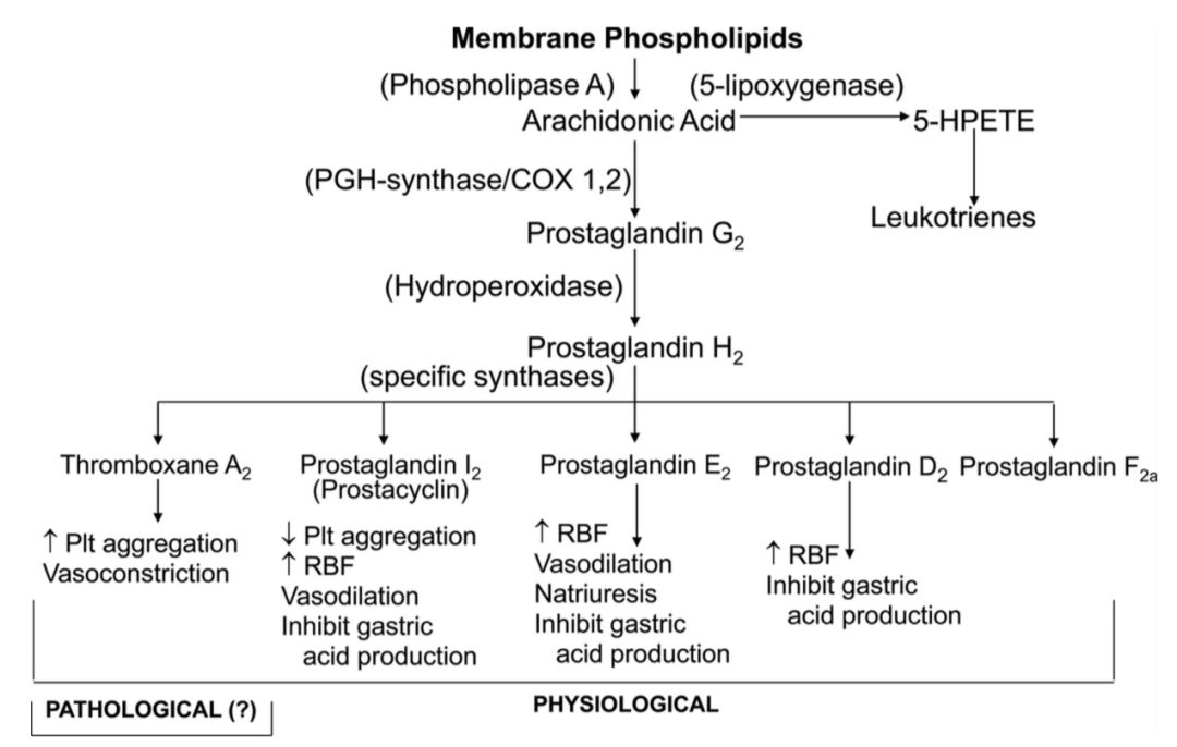 阿司匹林百年神药的不朽传奇,抗癌最好的药阿司匹林