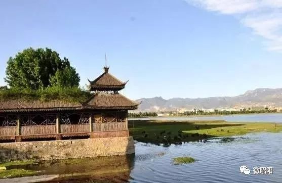 作家看金庸,作家看风景