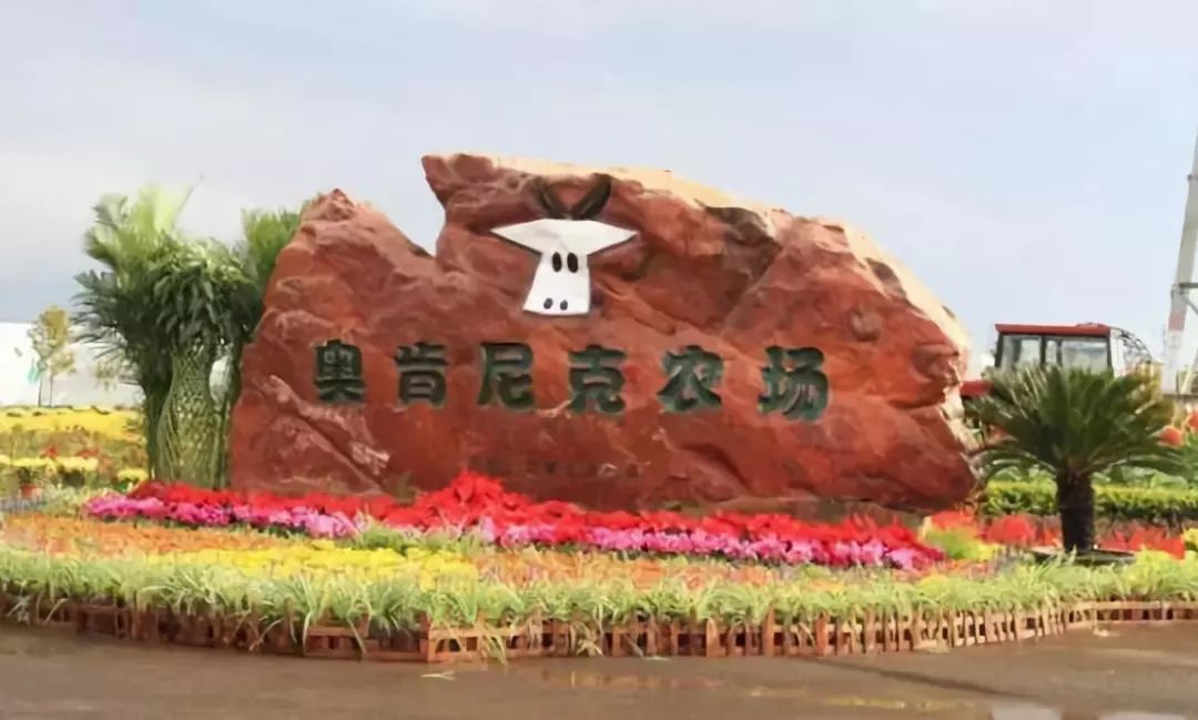 周末游玩银杏林,周末去哪里看银杏叶好