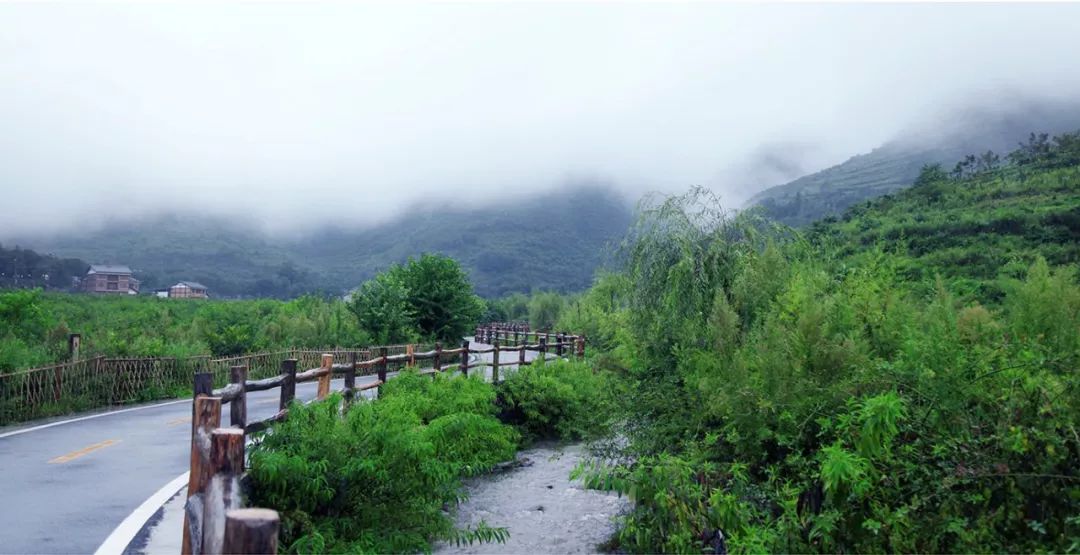 白蜡河,静静的河——枫香苟坝感悟!