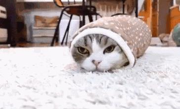 罗马人发明了左右脚的鞋,欧洲人古代用什么做鞋底