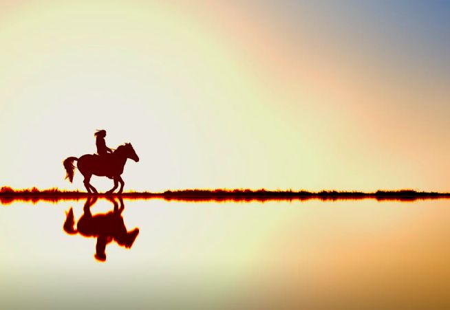 人到中年求稳求顺,人到中年不惑之年感悟