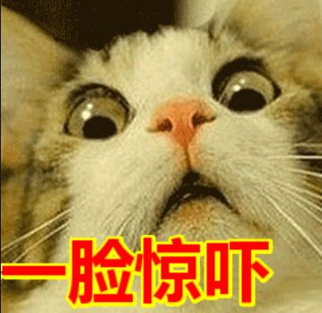 生活垃圾违规罚多少,生活垃圾处置罚款