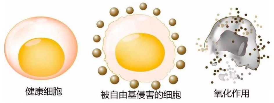 自曝体质特异,一天8杯奶茶喝不胖,粉丝惊呼太夸张