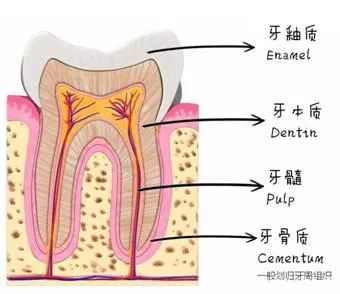 用了美白牙膏白了一颗牙,用了美白牙膏后还用清洁吗