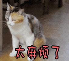 手机号码用了十五年以上的人多吗,手机号码用了五年以上的有多少人