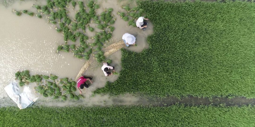 航拍蚌埠高清视频,航拍蚌埠