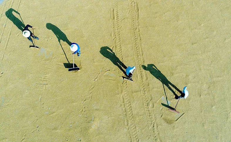 航拍蚌埠高清视频,航拍蚌埠