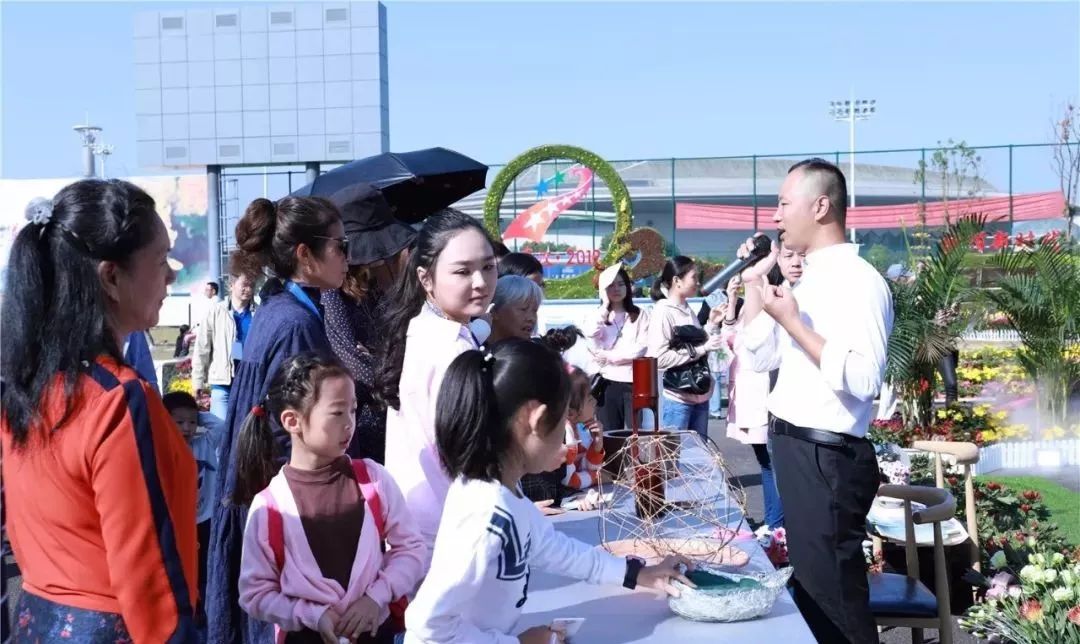 体育中心看展菊,在体育中心玩乐的一天