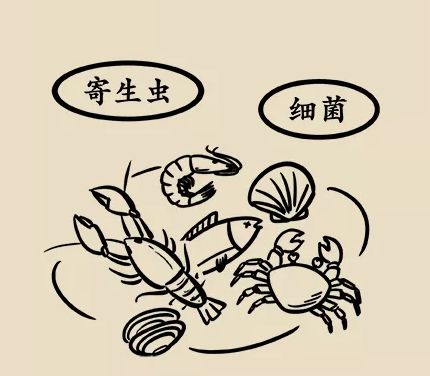 吃海鲜有什么讲究,吃海鲜的注意事项