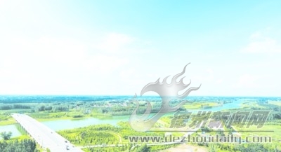 禹城经济发展好的镇,禹城经济