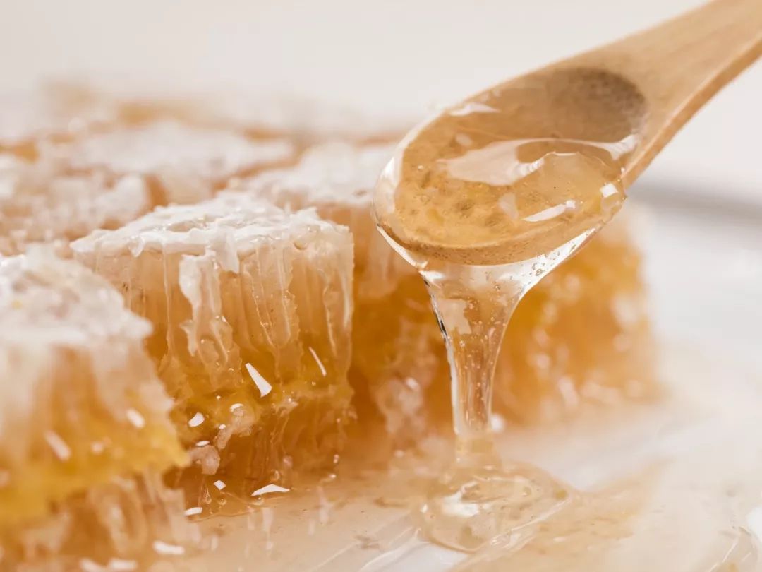 一条精选｜深山里的天然蜂巢蜜，可以解油腻的纯植物茶