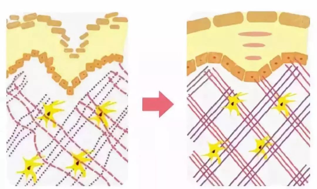 灏忚寕鑲岃瘖瀹ゅ埌搴曟湁澶氬己,灏忚寕鑲岃瘖瀹よˉ姘村悧