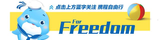 日本交通解说,日本交通纪录片