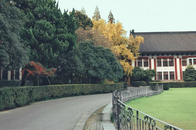 南京最美赏秋地点,南京赏秋之旅