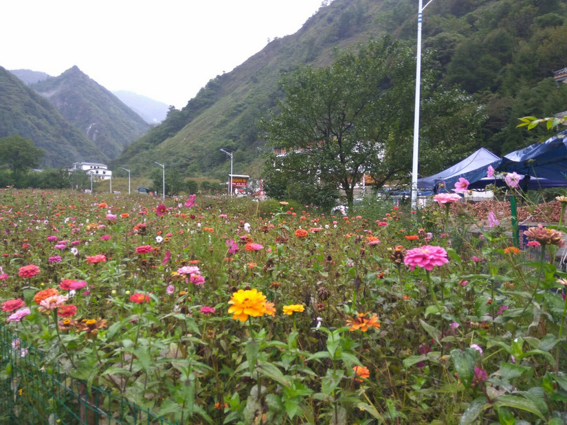 国庆流水账日记,中秋国庆流水账