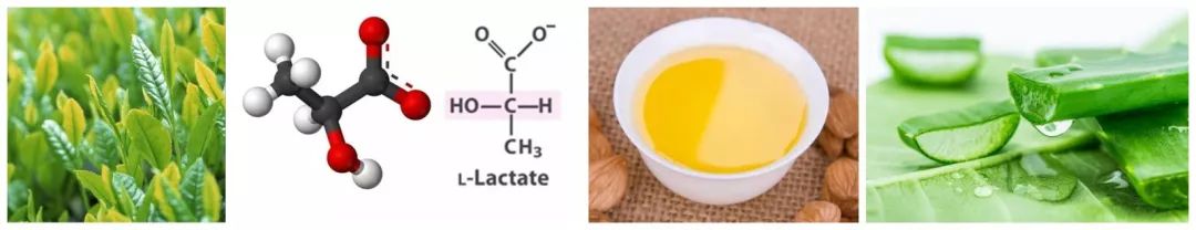 它被称为闭着眼都可以入的新西兰好物,小红书上已抢疯!