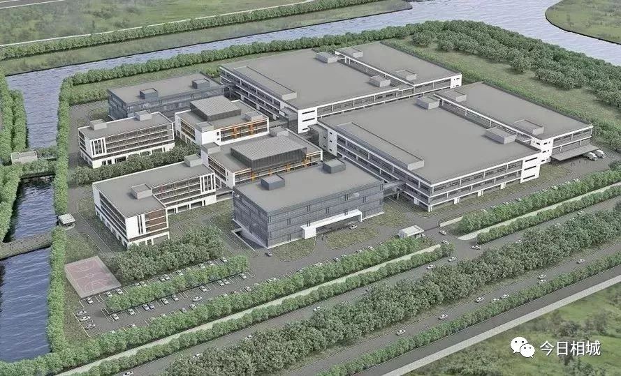 相城这家“小老弟”企业，凭什么敢做三星的“挑战者”？