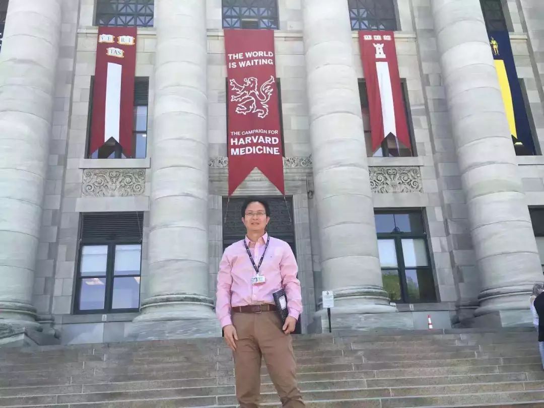 pubmed文献总结,pubmed怎么查看近三年文献