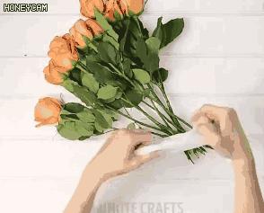 马桶堵了不用修,马桶堵了不用皮搋子