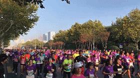 南方南马,南马的最新消息