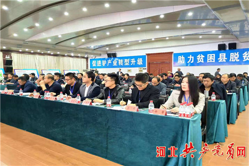 阳原小毛驴视频 (阳原小毛驴怎么样)