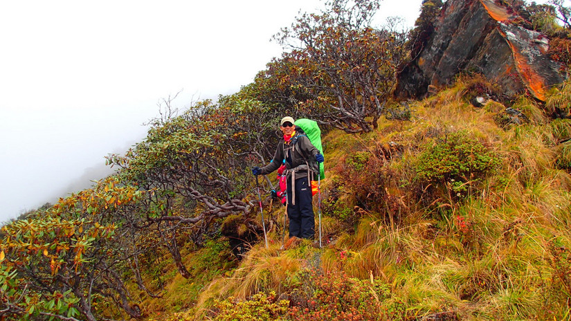 留下的是辉煌带走的是荒凉,带走的是经历留下的是回忆