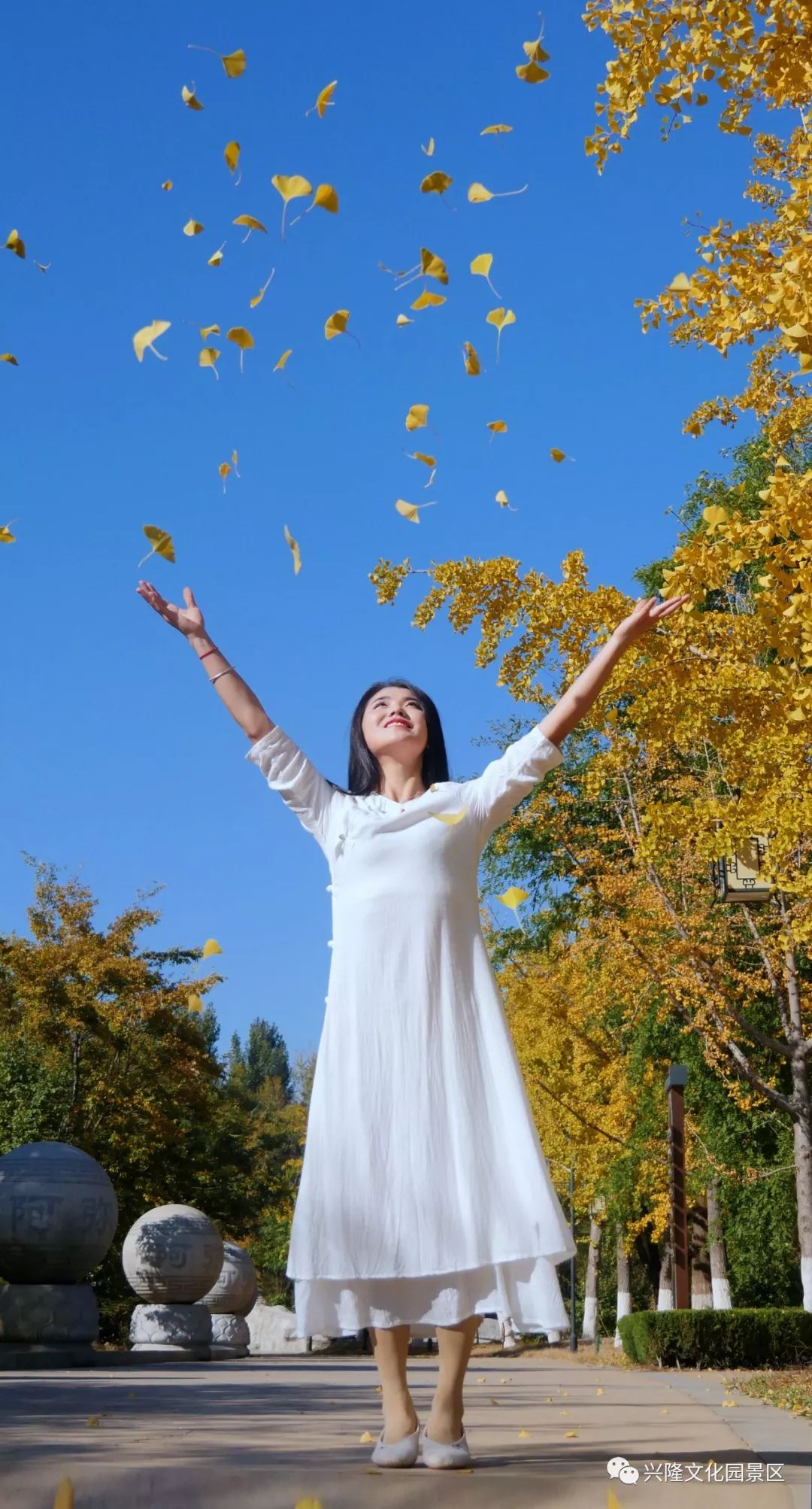 巴山夜雨电影1980,巴山夜雨1980老电影