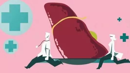 转氨酶升高中药怎样治疗,转氨酶升高中医治疗