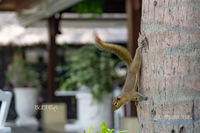 躺在巴厘岛沙滩看月亮,想停留在巴厘岛怎么办