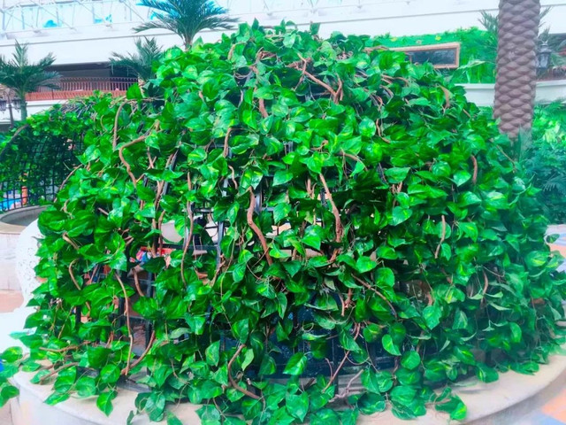 长春市南关区带温泉的洗浴中心,长春市温泉自助餐都有哪些